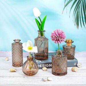 Pack of 5 Amber Antique Glass Centrepiece for Mini Flowers- Antique Collections for Floral Arrangements Home Decorations Item for Home Décor