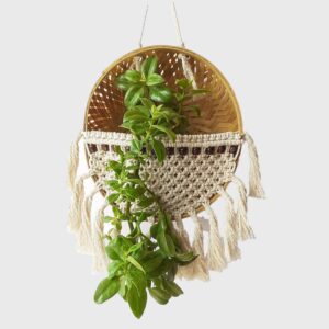 Cotton Basket Plant Hanger, Off-white, 9 Inch