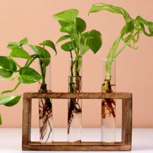 Timber Grove Wooden Test Tube Planter for Home & Office
