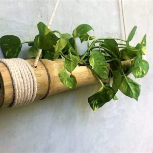 Bamboo Hanging Planters with Adjustable Rope - Pack of 1