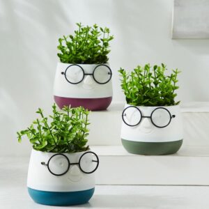 Spinel Decor Polypropylene Printed Planter with Plant