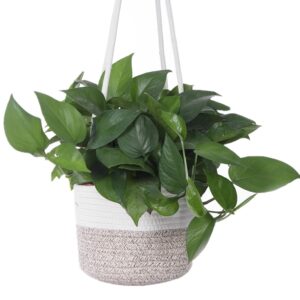 Jute Rope Woven Plant Hanger Up to 7" Pot Macrame