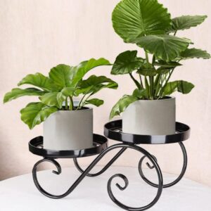 Elegant Dual-Tier Metal Plant Stand
