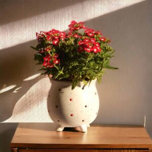 3 inches Ceramic Plant Pots, Clay Flower Pot with Drainage Hole